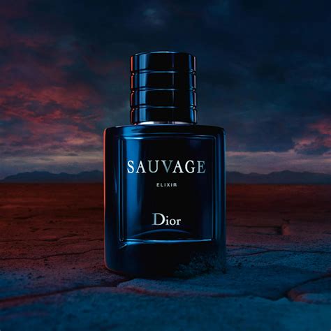 sauvage parfum dior price|dior sauvage best price.